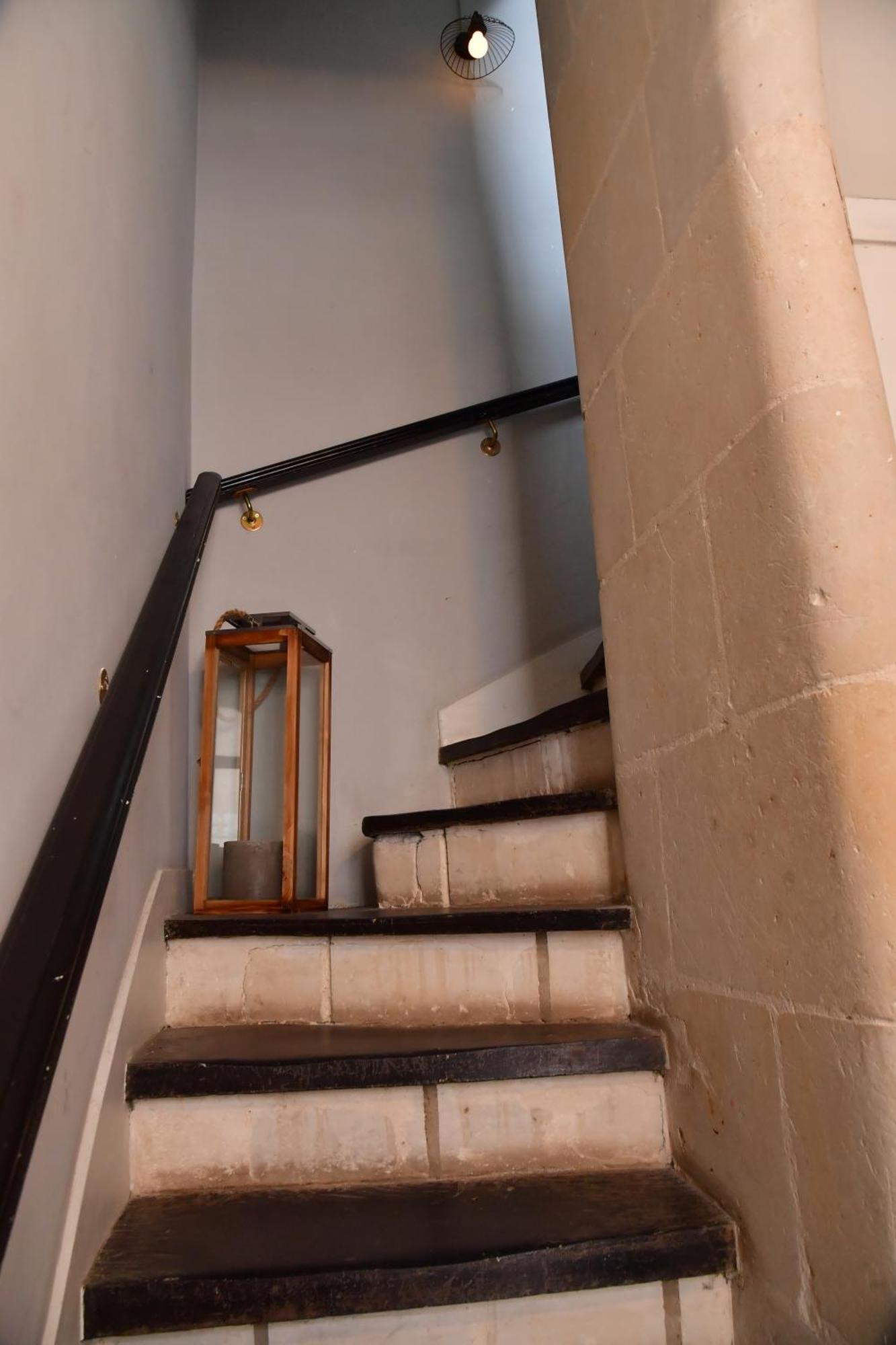 Les Sternes De St Mathurin Sur Loire , Vue Loire Apartment *